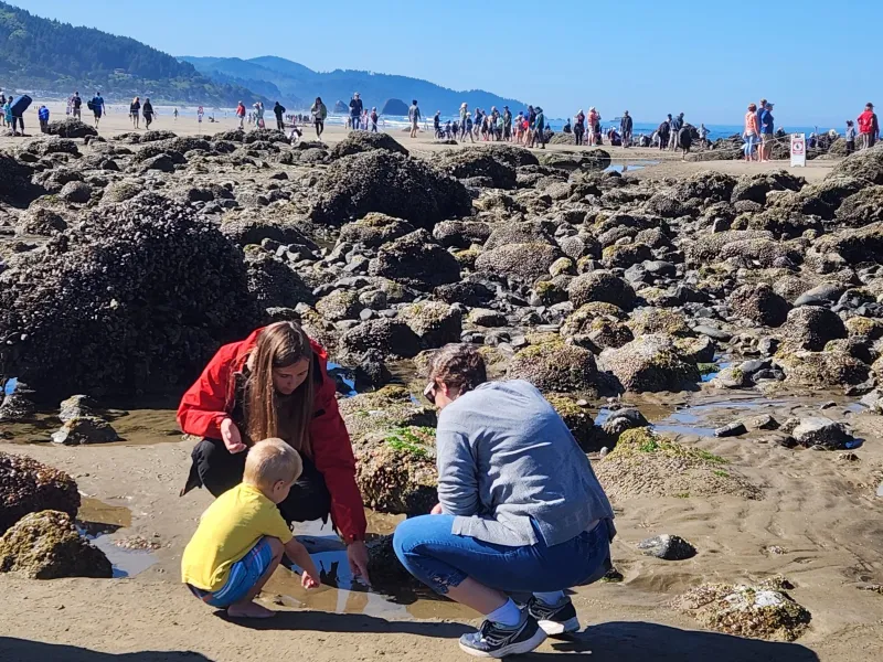 Tidepool Disturbance at Haystack Rock