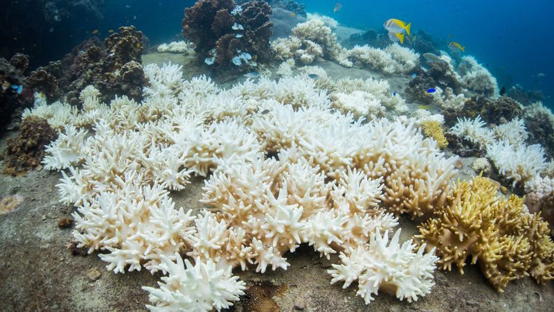 Climate Change Amplifies Tourism Impacts