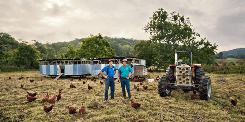 Polyface Farm: The Pioneer of Regenerative Agriculture