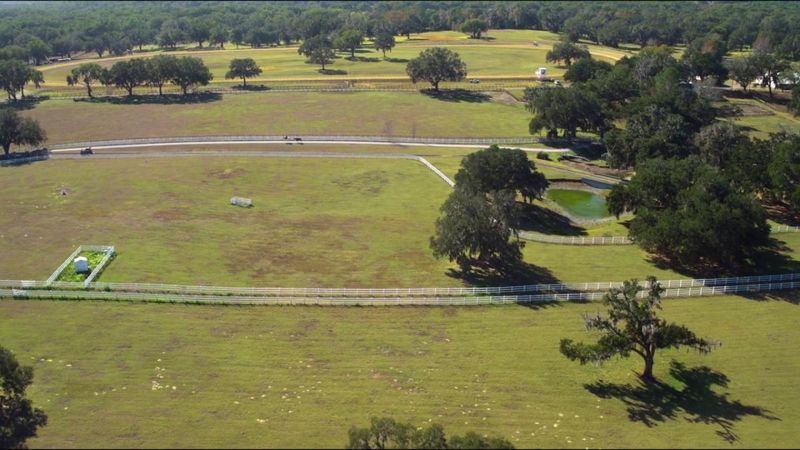 Ocala