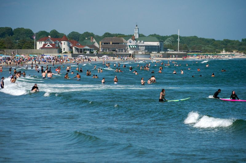 Seaweed, Jellyfish, and Water Clarity Swings