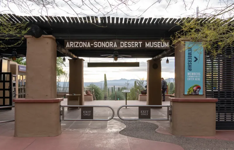 Arizona-Sonora Desert Museum in Tucson