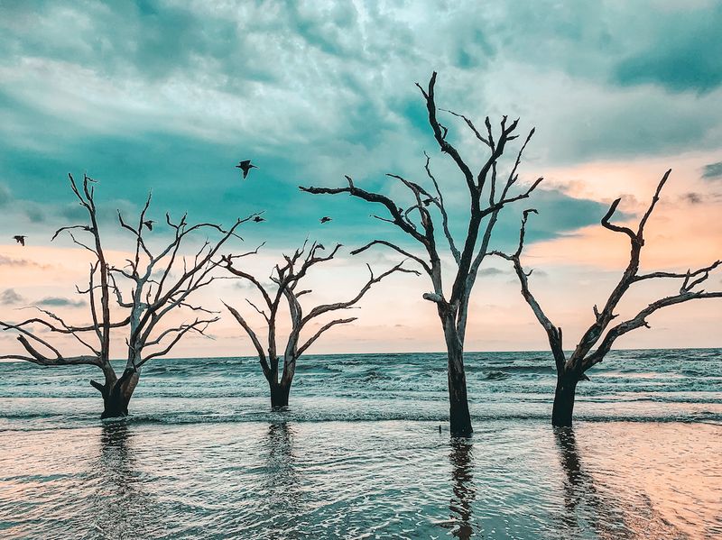 Edisto Island: Nature Lover's Coastal Retreat