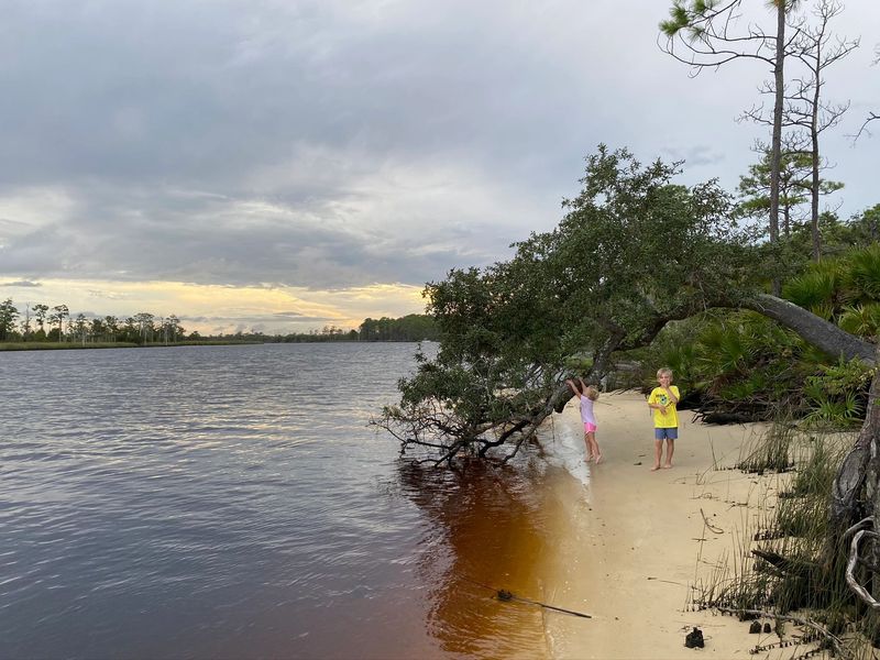 Ochlockonee River State Park