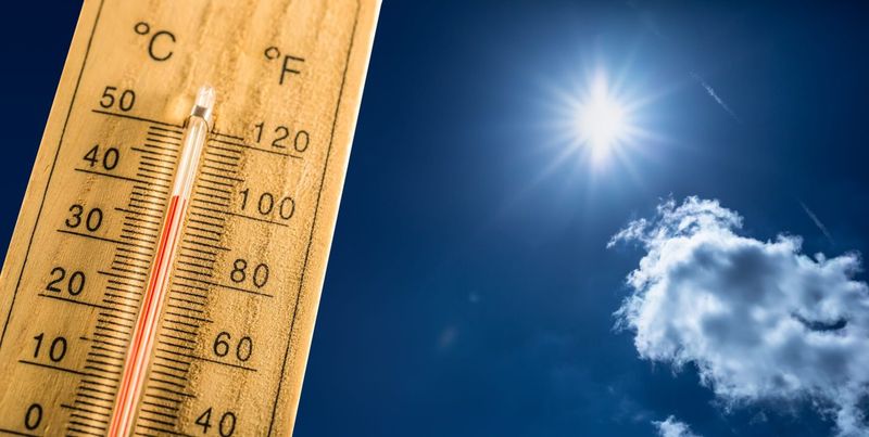 The Brutal Summer Heat and Humidity