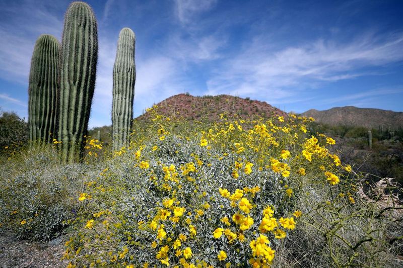 State Park Prohibitions