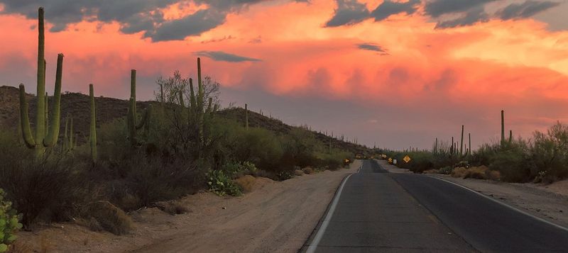 Tucson's Desert Oasis