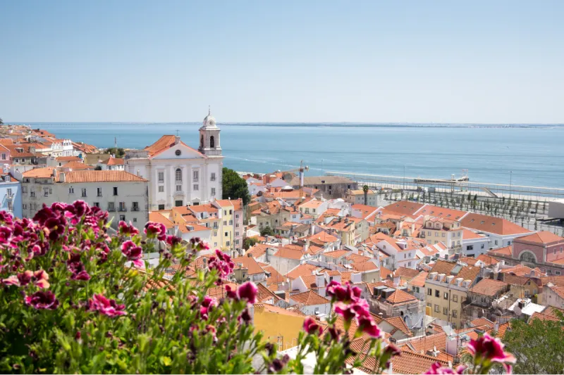 Pack Light, Land Right