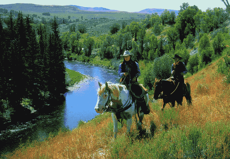 Drunk Horseback Riding Has Consequences
