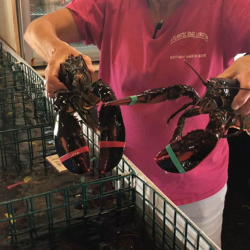 Atlantic Edge Lobster & Seafood Market – Boothbay Harbor