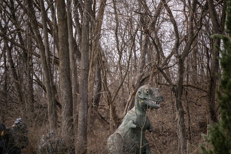 Prehistoric Forest Amusement Park