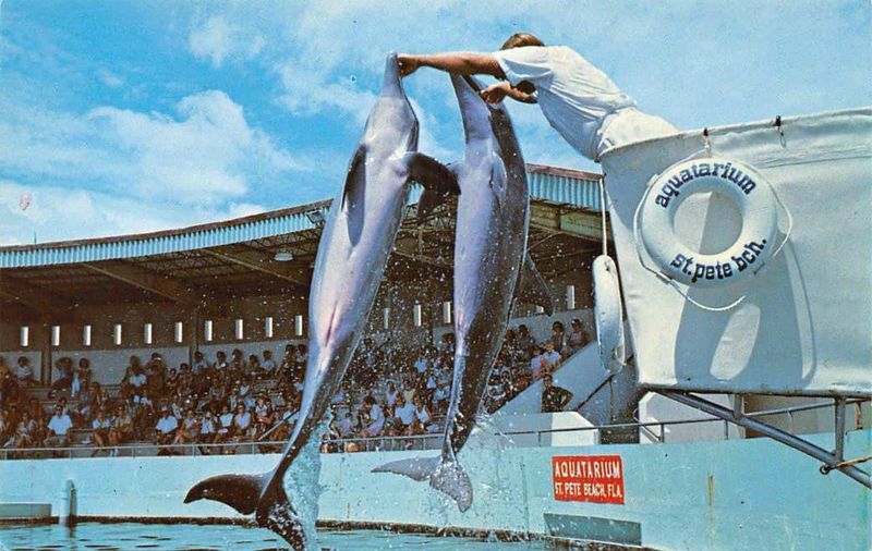 Aquatarium / Shark World (St. Pete Beach, FL)