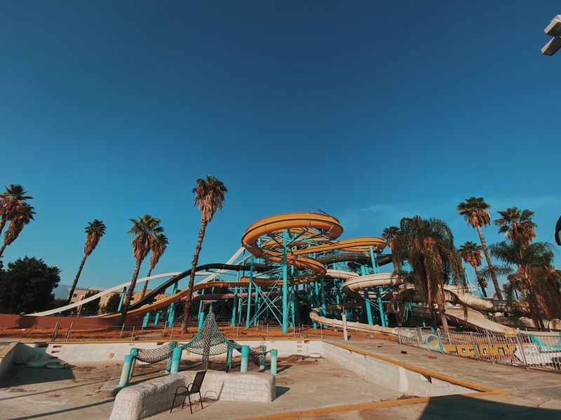 Inspired Widespread Cultural Curiosity and Online Documentation