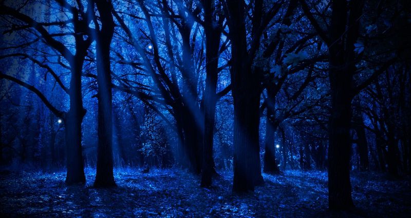 The Mysterious Blue Light