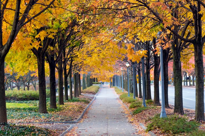 Midday Window Walks on the Rivergreenway