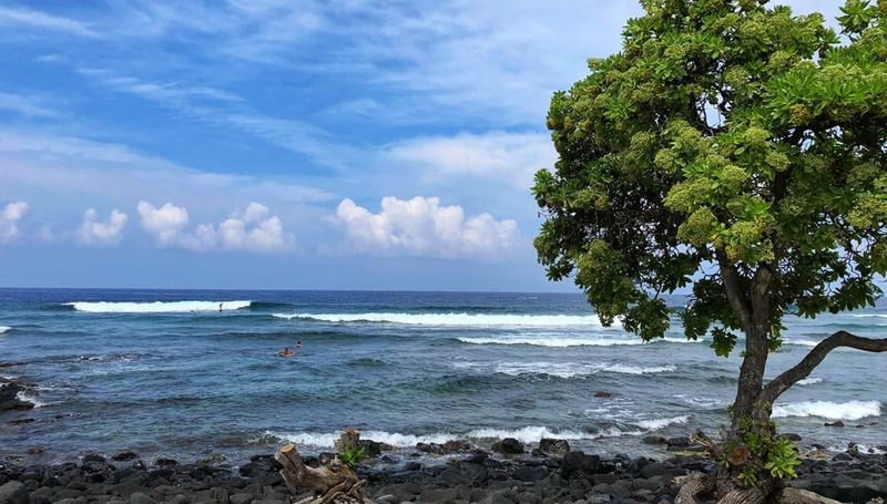 Kohanaiki Beach Park (Pinetree), Hawai'i Island