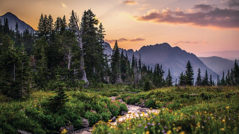 East Trunk Trail (Crazy Mountains)