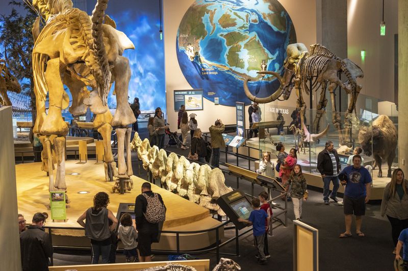 Perot Museum of Nature and Science, Dallas