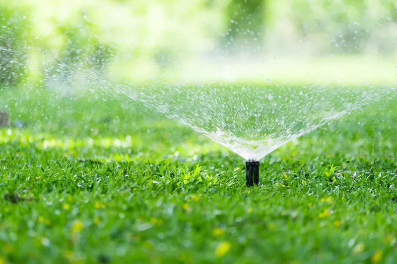 Odd/Even Lawn Watering Restrictions
