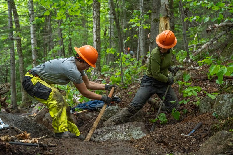 Environmental Strain On Natural Resources