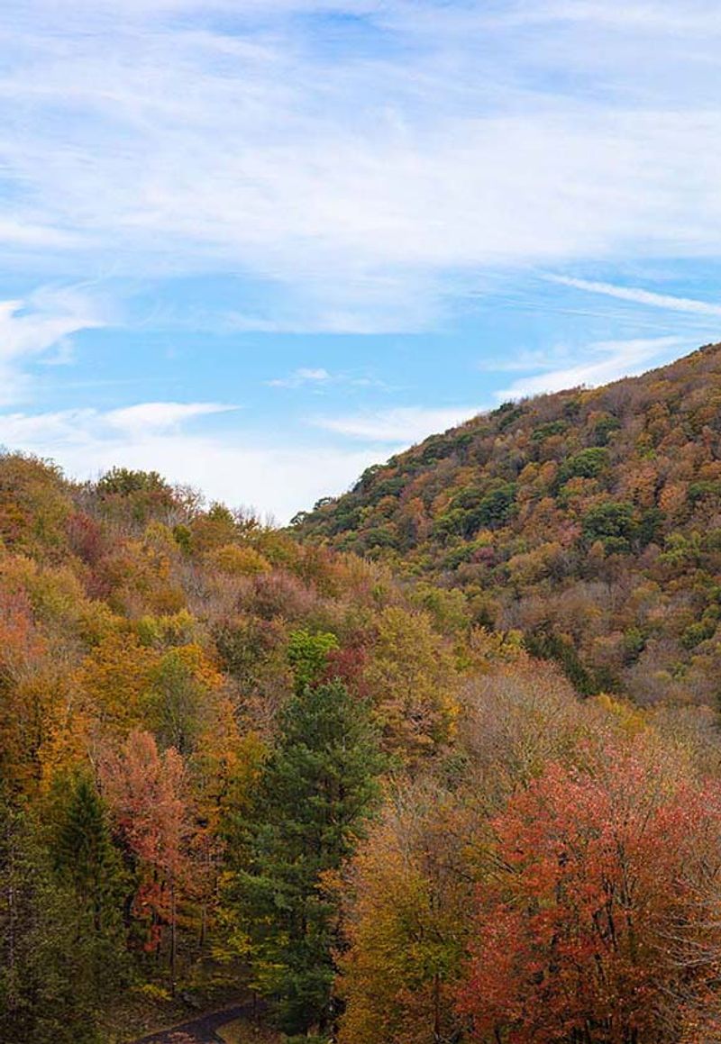 68 Acres of Untamed Wilderness