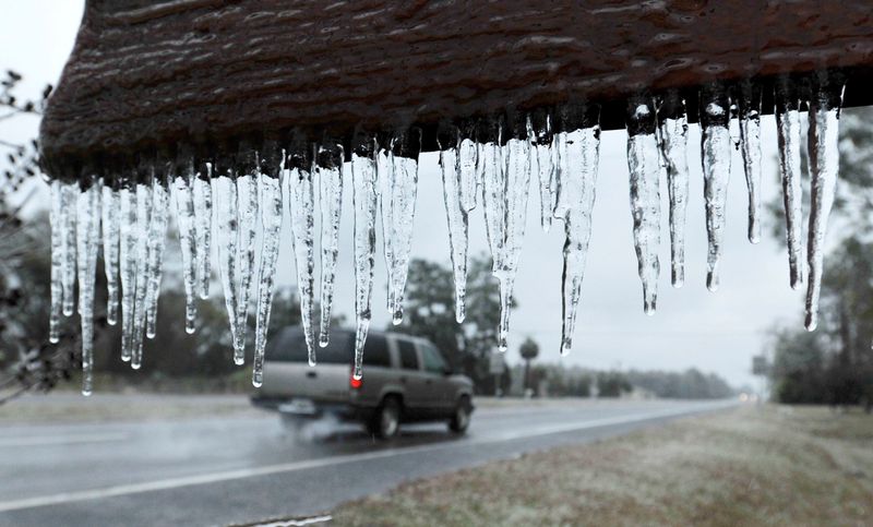 Regional Roulette: Not All Florida Winters Are Alike