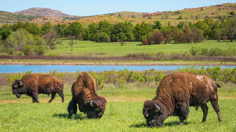 The Great Outdoors Means Free Recreation