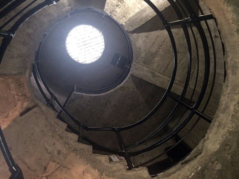 What You Will See and Hear