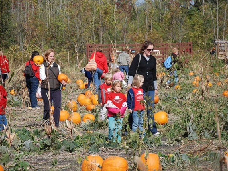 The Subtle Magic Locals Protect