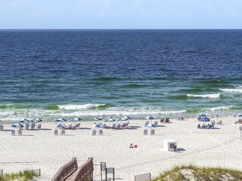 Pets, Fireworks, and Other Forbidden Fun