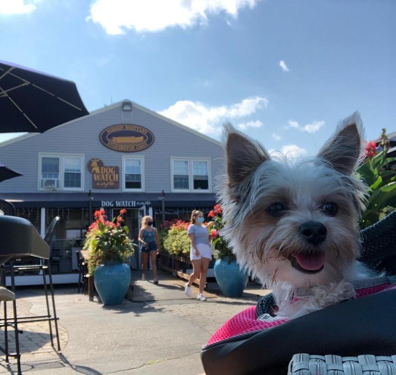 Vibrant Outdoor Seating with Fire Pit