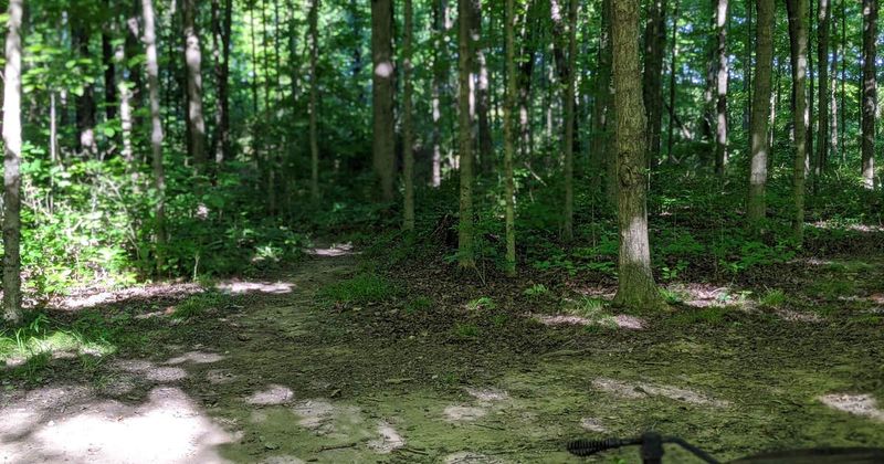 Old Alum Creek State Park Area