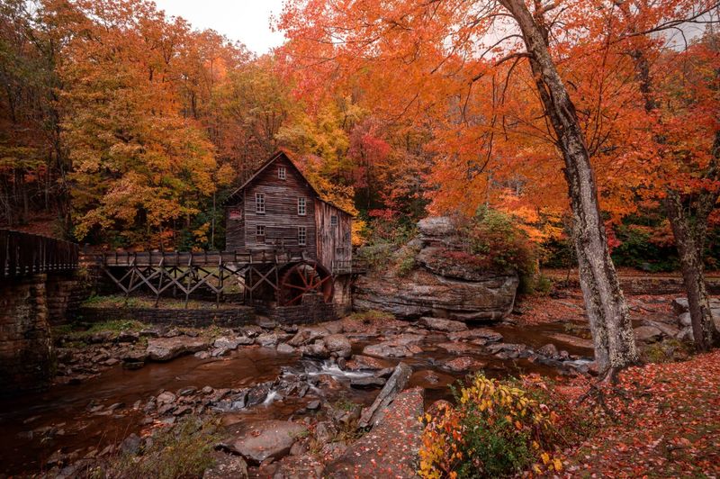 Changing Seasons That Hit Hard