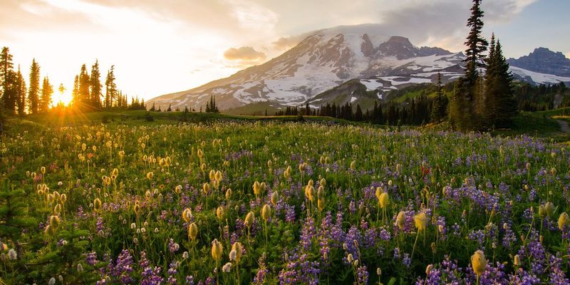 Seasonal Shifts That Surprise Travelers
