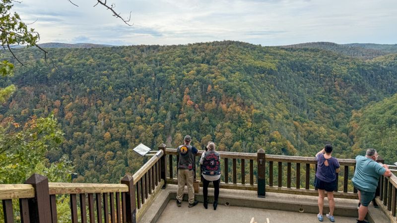 Pennsylvania Grand Canyon (Pine Creek Gorge)