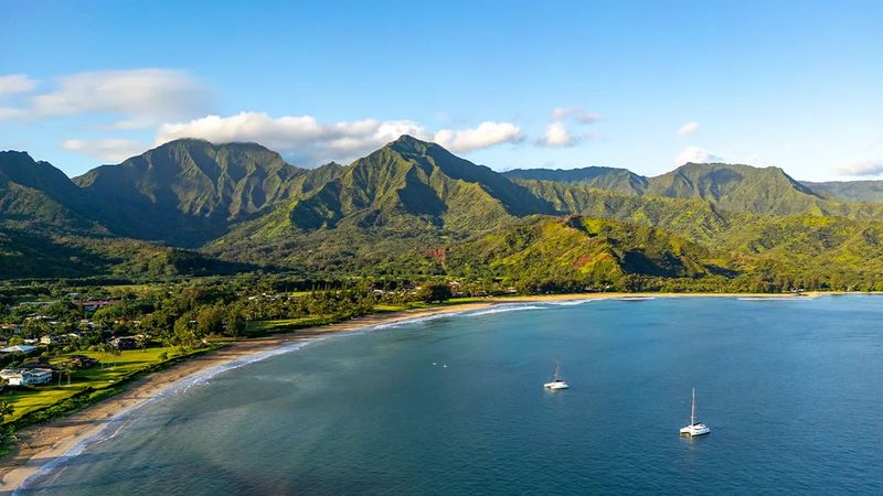 Higher Taxes Fund Local Needs