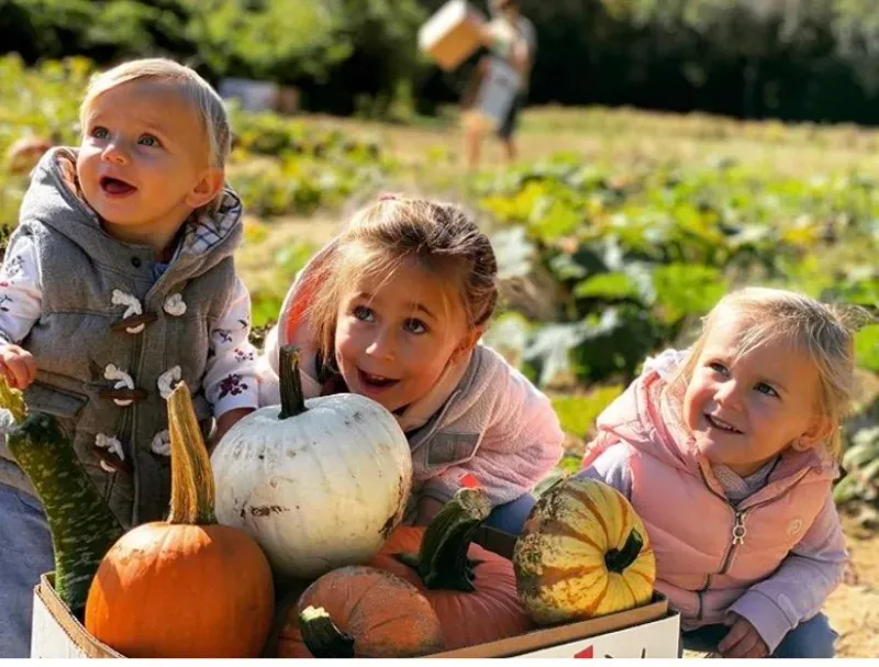 Millstone Creek Orchards Family-Friendly Alternative