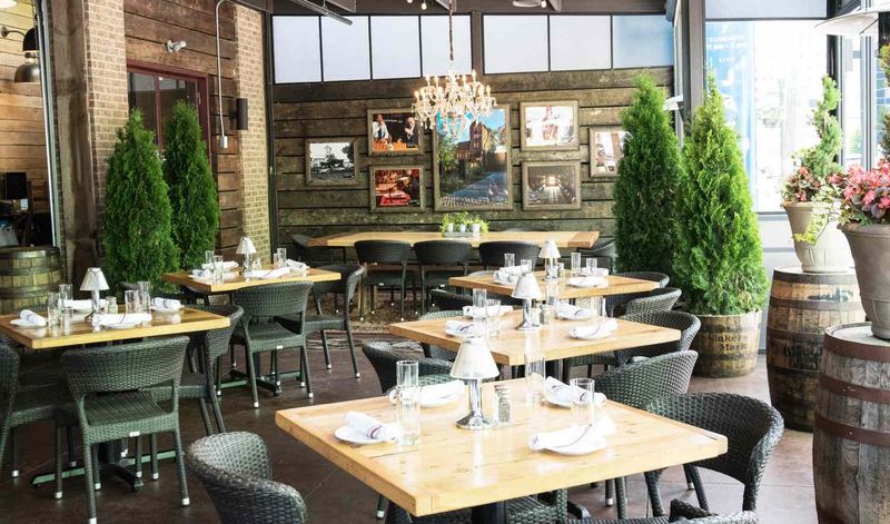 Where Ambiance Becomes the Attraction