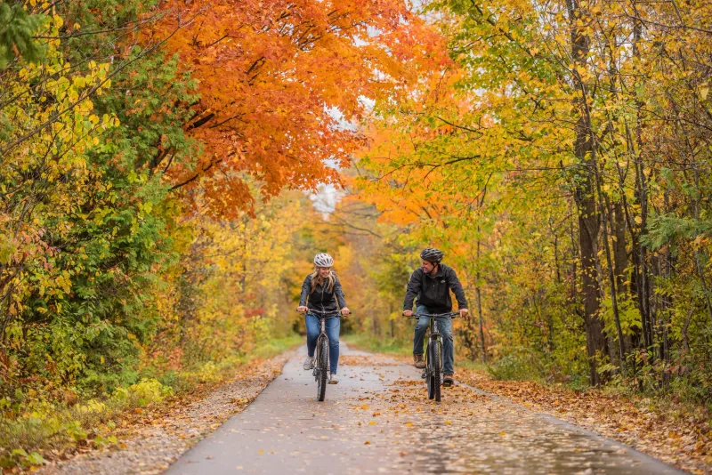 Natural Areas Face Environmental Damage