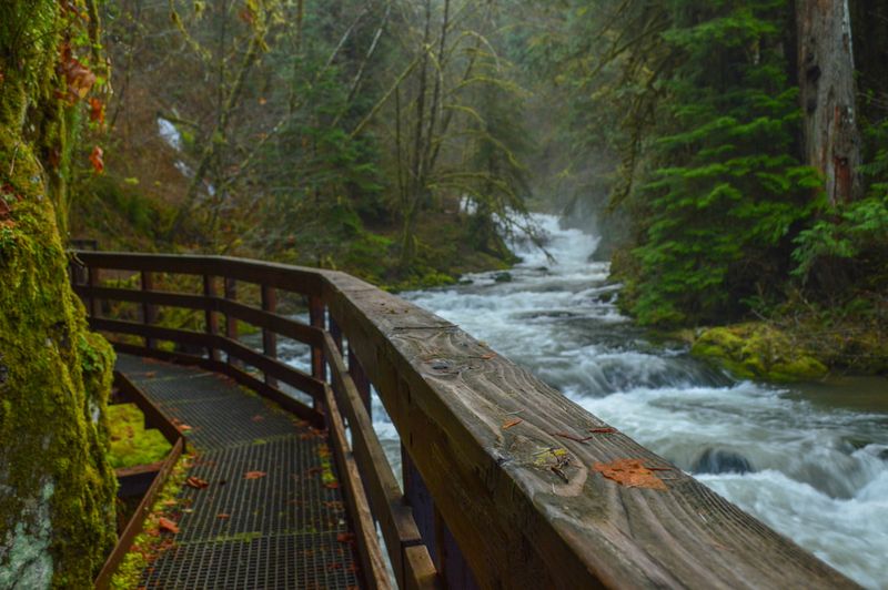 Rainy Day Hikes