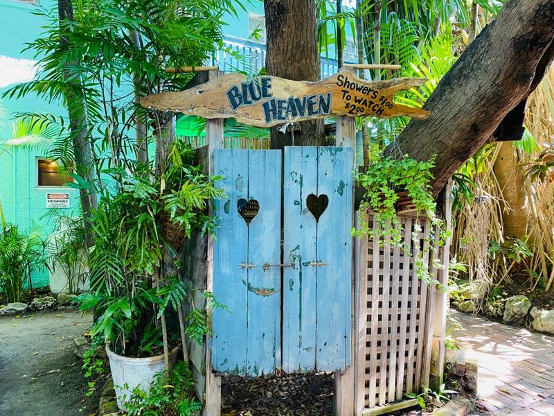 A Favorite for Celebrations and Chillouts