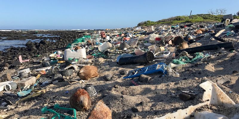 Environmental Strain and Crowding