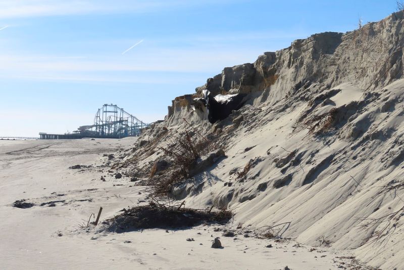 Environmental Strain Shows in Beach Erosion and Pollution