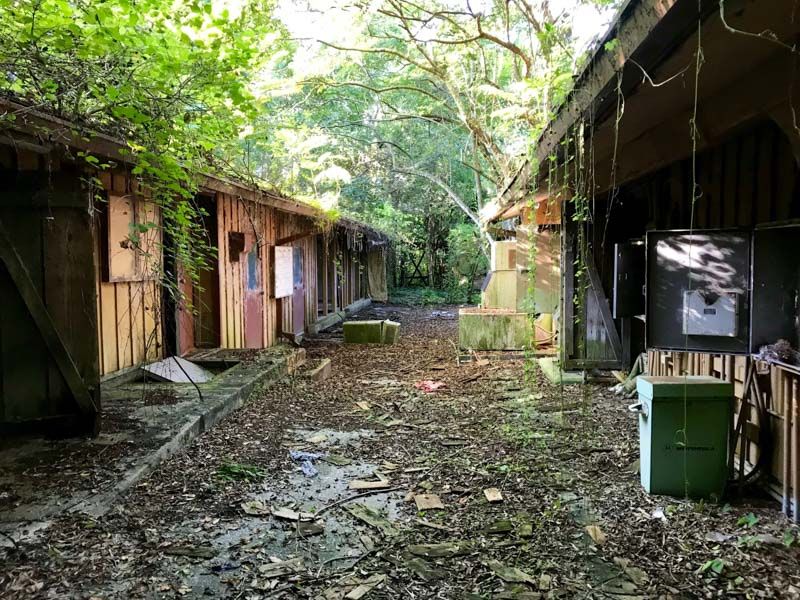 Discovery Island