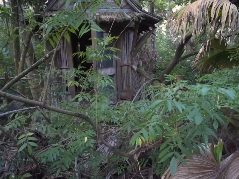 Discovery Island