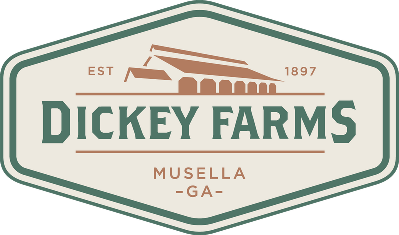 A Georgia Landmark with Deep Roots