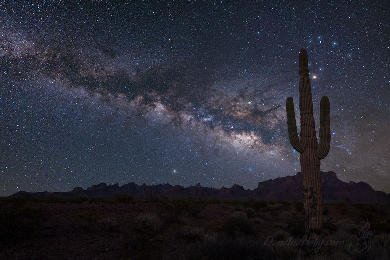 Starlit Dark Skies