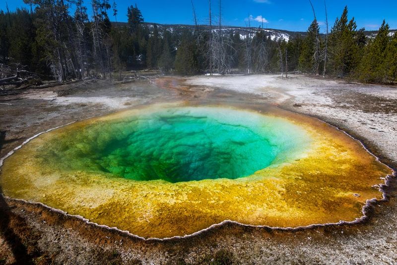 Delicate Ecosystems Disrupted: Geothermal Features Suffering Permanent Damage