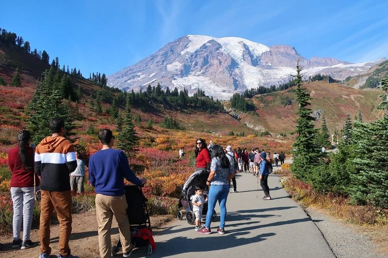 Mount Rainier National Park