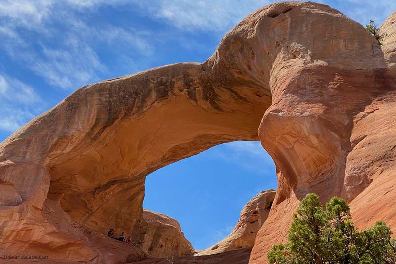 Pollock Bench and Rattlesnake Arches, McInnis Canyons